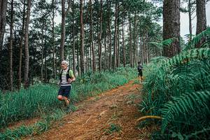 BIB: 
                            <button type="button" onclick="openModal(25690717)" class="btn btn-primary btn-sm float-right btn-popup" data-toggle="modal" data-target=".modal-high-quality">
                        <i class="fas fa-shopping-cart"></i> Add to Cart
                    </button>
                                            <button type="button" onclick="isThisMe(25690717, true)" class="btn btn-success btn-sm float-right btn-popup btn-isme hidden" data-toggle="tooltip" data-placement="bottom" title="นี่คือรูปของคุณใช่ไหม คลิกที่นี่เพื่อเอาเข้าอัลบั้ม">
                        <i class="fas fa-plus"></i> Add to album
                    </button>
                    <button type="button" onclick="isThisMe(25690717, false)" class="btn btn-warning btn-sm float-right btn-popup btn-isnotme hidden">
                        <i class="fas fa-ban"></i> Remove from album
                    </button>